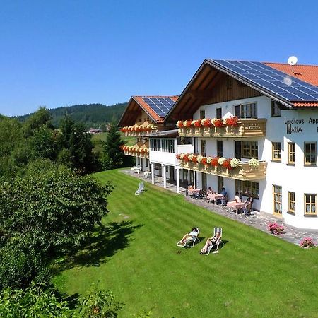 Landhaus Maria Bed&Breakfast Ξενοδοχείο Regen Εξωτερικό φωτογραφία
